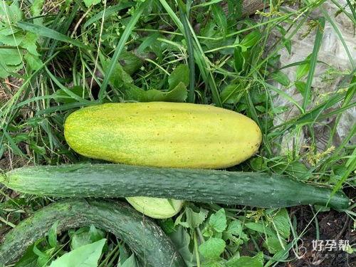 哈婆吃瓜,揭秘娱乐圈背后的那些事儿