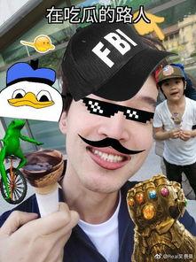 吃瓜路人爱吃瓜,揭秘瓜界美食狂热者的独特喜好