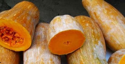 吃方瓜利尿吗,“方瓜食用对利尿效果的分析与探讨”