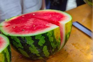 黄金学院烟台吃瓜,一场别开生面的校园“吃瓜”盛宴