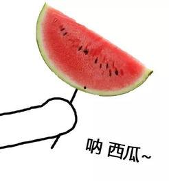 吃瓜蹦蹦酱,揭秘美食界的“网红”传奇