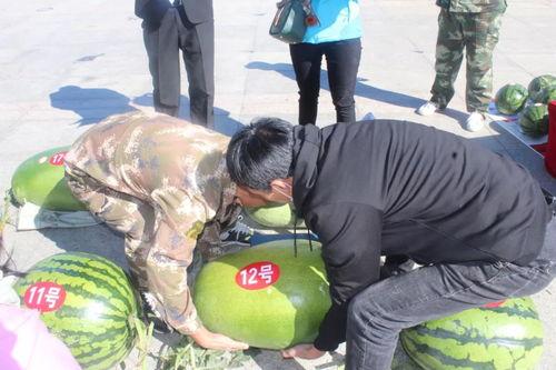 张三炮吃瓜,揭秘娱乐圈幕后风云