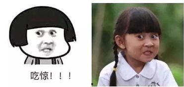 doro吃瓜表情原型,揭秘网络红人的魅力瞬间