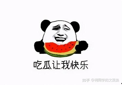 今天吃瓜起来,娱乐圈最新热点事件大盘点