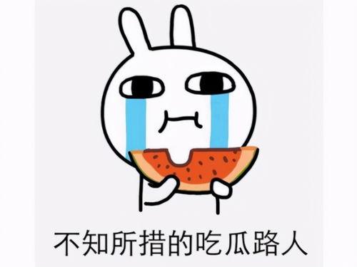 吃瓜会不会犯法,揭秘吃瓜行为背后的法律边界