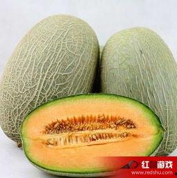 孕妇吃哈密瓜好不好