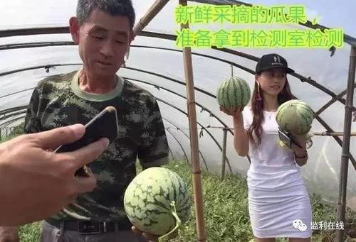 直播吃瓜是什么赛道,揭秘网络红人热门话题的幕后赛道