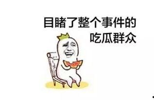 吃瓜上班,揭秘职场中的“瓜田效应”