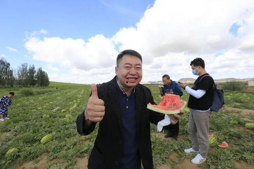 包头吃瓜人,吃瓜人生，品味人间烟火