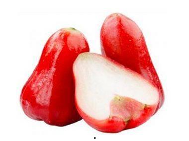 莲雾吃瓜盗版,揭秘网络盗版现象背后的故事