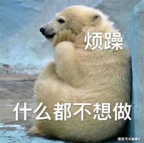 吃瓜群众牌子图片