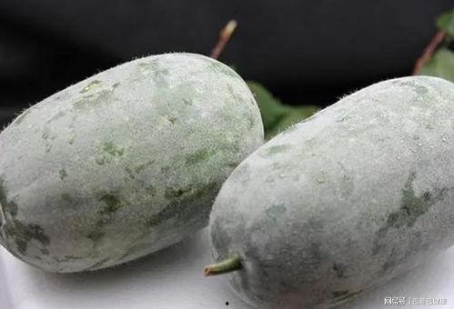 后宫一线吃瓜,一线吃瓜，揭秘宫廷秘闻