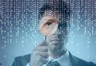 金融企业吃瓜,揭秘金融企业幕后故事