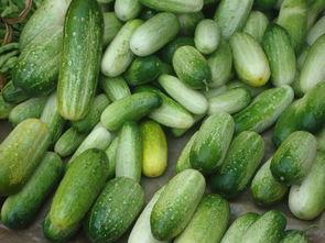 文山最新吃瓜事件,真相竟如此惊人！