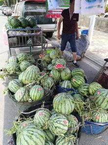 文山最新吃瓜事件,真相竟如此惊人！