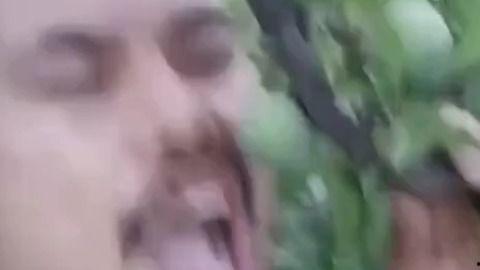 苍苍吃瓜完整视频,揭秘娱乐圈幕后故事