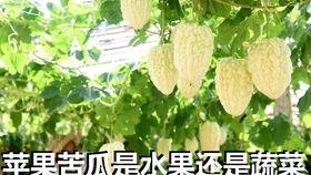 90区吃瓜,揭秘娱乐圈背后的那些事儿