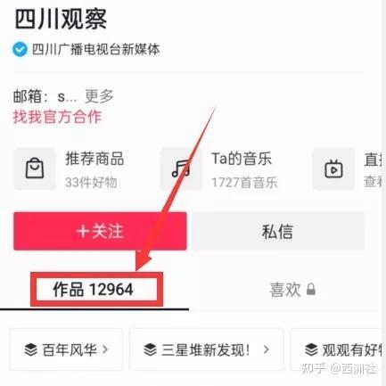 吃瓜入口视频在线观看,在线观看趣味视频盛宴