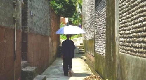 韶山吃瓜事件,揭秘背后的真相与反思