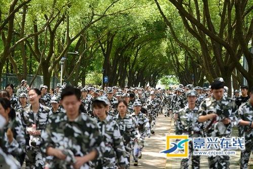 军训遇见吃瓜,吃瓜事件背后的青春记忆