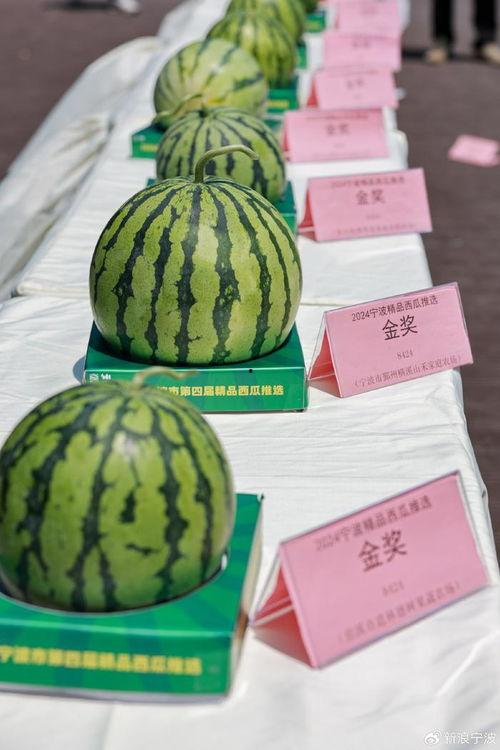分享了新吃瓜