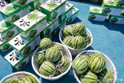 分享了新吃瓜
