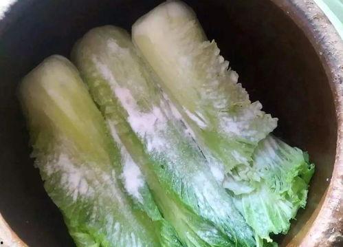 肝病吃冰瓜吗,冰瓜的适宜与否