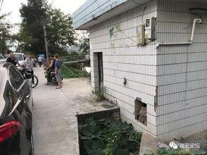 无死角吃瓜群众,揭秘娱乐圈幕后真相